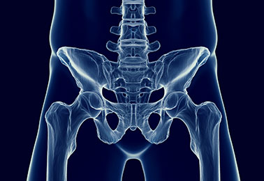 Pelvic Floor Fitness Physical Therapy Program