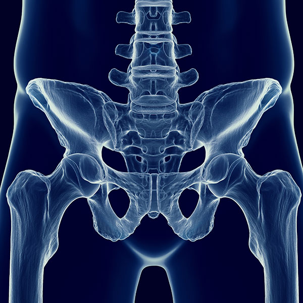 Pelvic Floor Exercise Program to help with urination or bowel movement issues